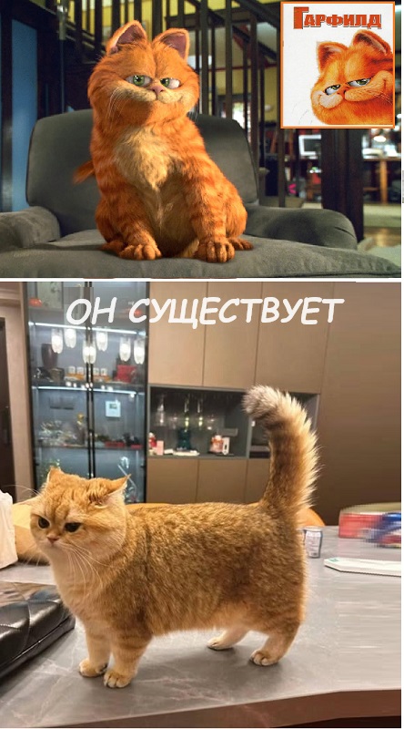 Картинки разные с надписями и без