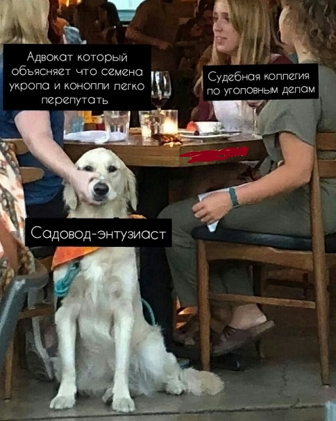 Дело житейское