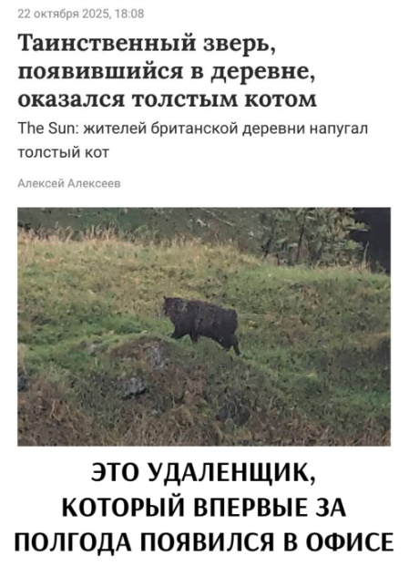 Картинки для деградации 73 (разной степени свежести)