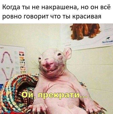 Картинки для деградации 87 (разной степени свежести)