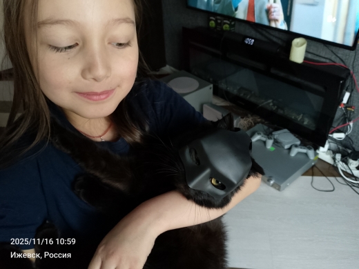 Возвращение доверия