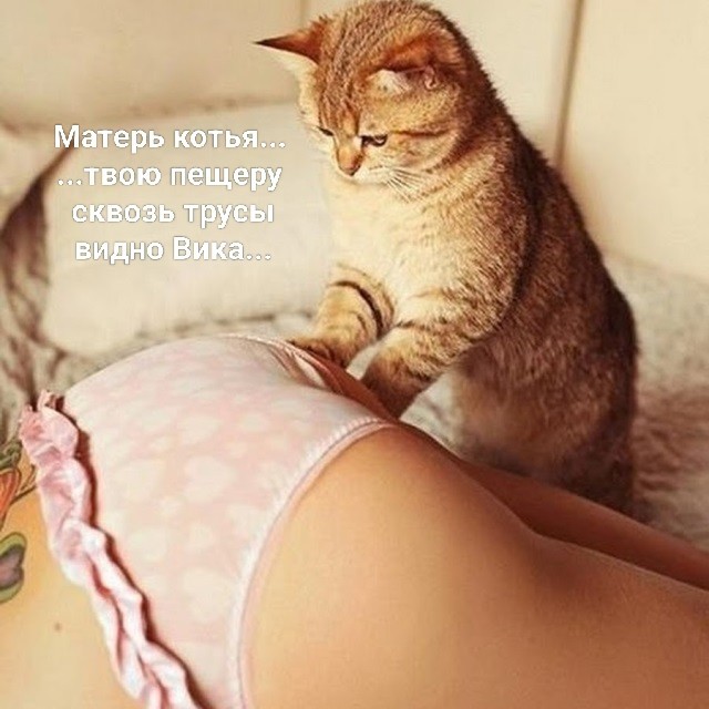 Картиночки, баянчики 08 декабря