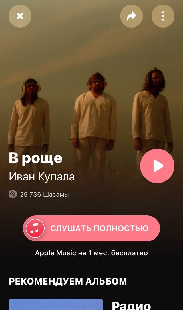 История одной варежки