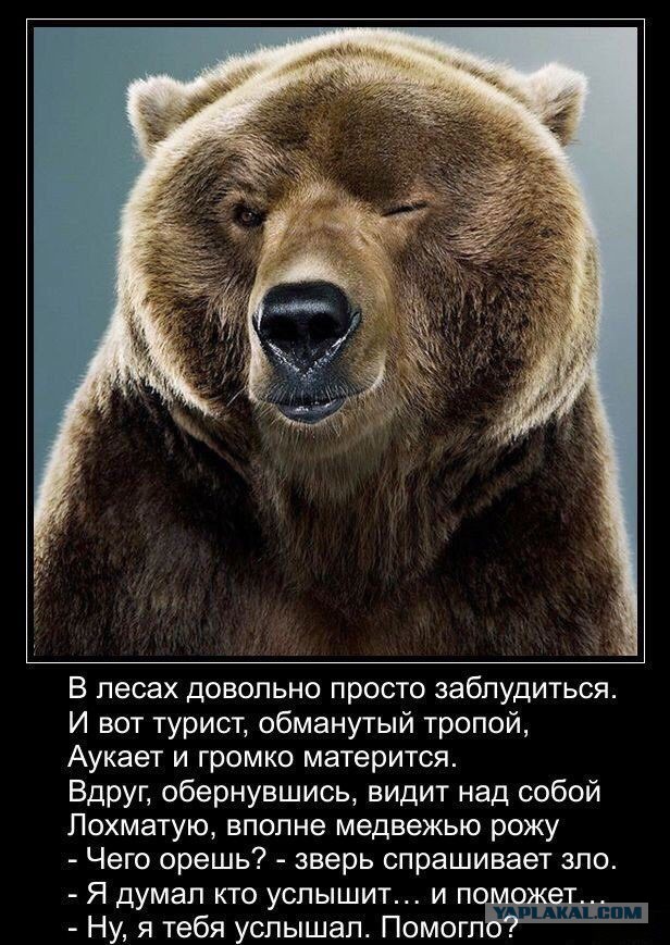 Ну, он услышал тебя, и чё?