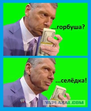 Практика «денежных ворот» у россиянок набирает обороты