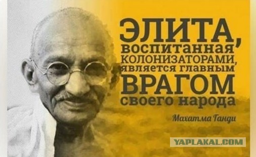 «Ломка пройдет»: в Госдуме сравнили Telegram с наркотиком