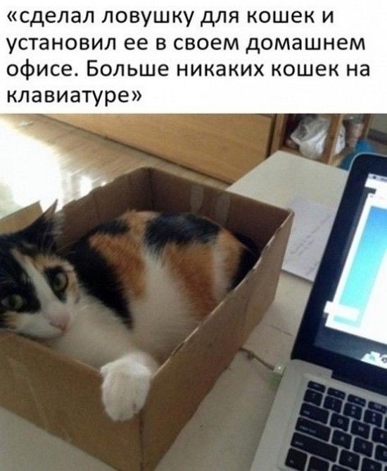 Воскресные картинки