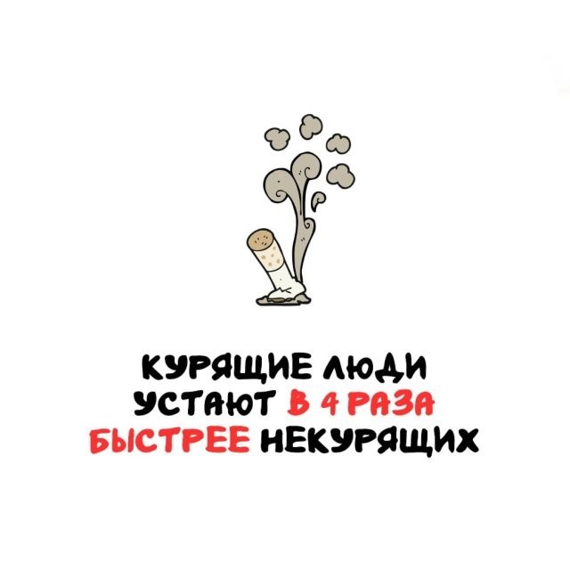Интересные и короткие факты на все случаи жизни 19.04.26
