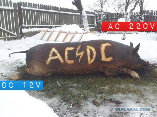 А почему не Metallica?