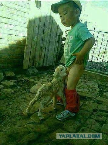 Картинки