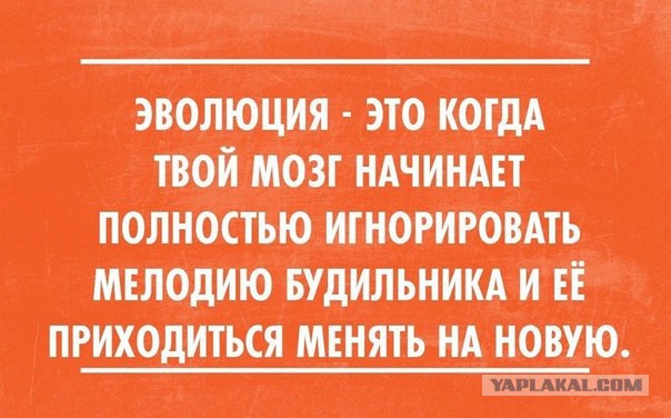 Смешные комментарии из социальных сетей 04.08.14