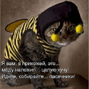 Картинки, вроде смешные.