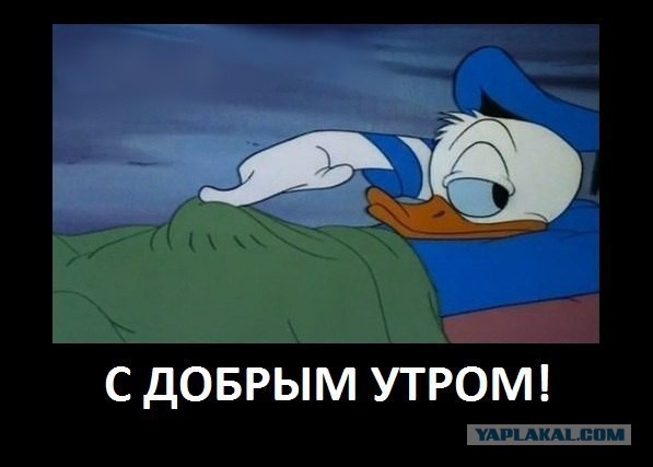 А стыдно до сих пор
