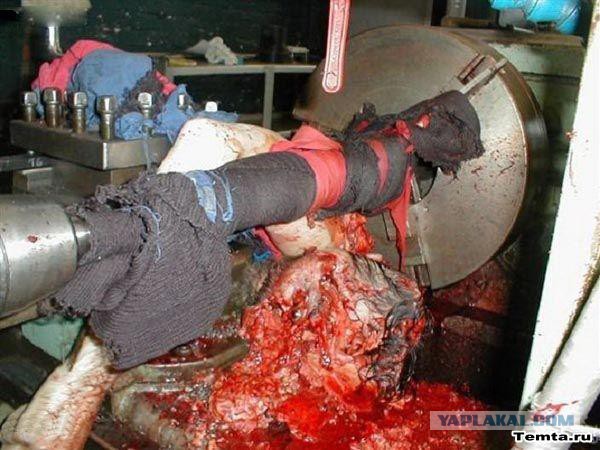За руль не садить, к кухне не подпускать