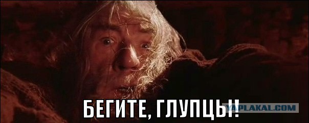 Разыскивается Нечаев!