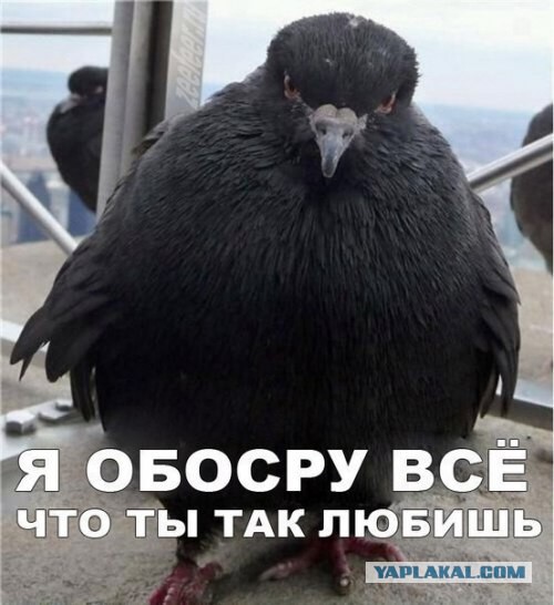 Верующим на заметку...