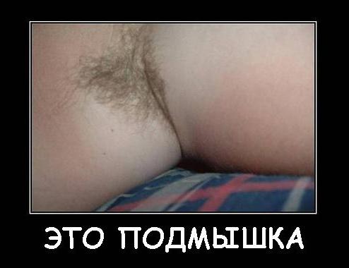 Арабская киска