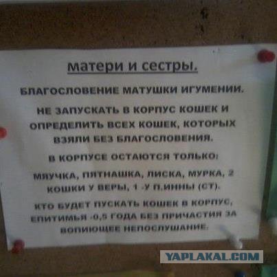 Ничего святого, просто бизнес