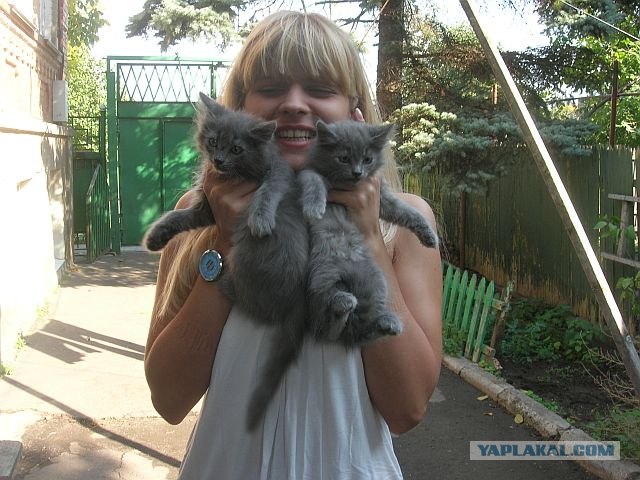 Баю-баюшки-баю