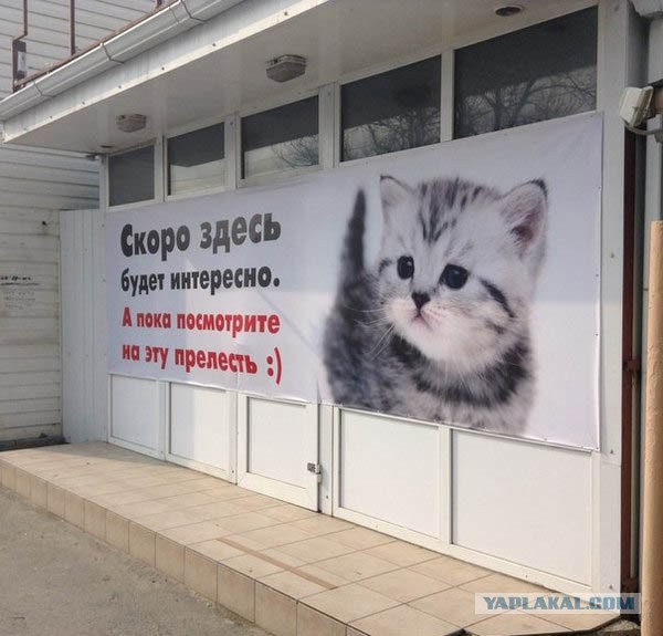 Картинок пачка