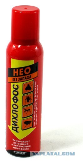 Массовое убийство и геноцид