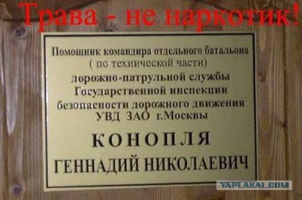 Улыбнуло фамилия и профессия