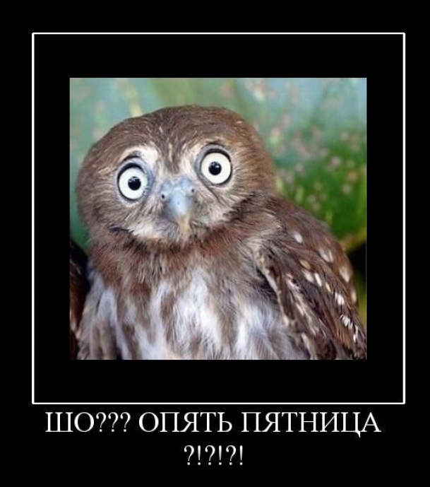Пятничное-актуальное