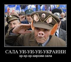 Вкратце новости последней недели