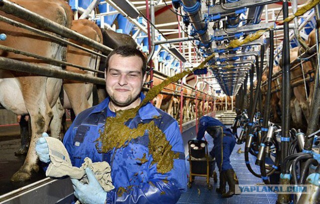 Коварный какой муж))