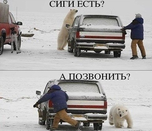 Смешные картинки