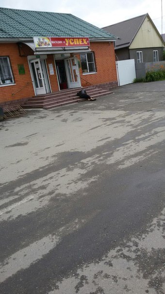 Ужасы и приколы из соцсетей 18+