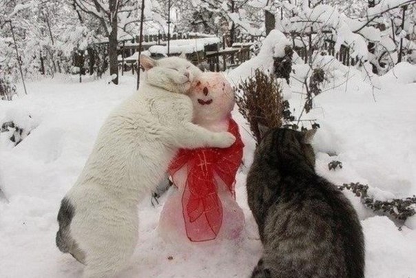 Картинки на пятницу