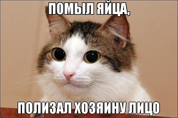 Картинки и демотиваторы
