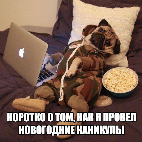 Отовсюду понемногу