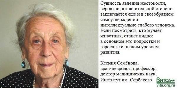 Расстрелял соседского кота