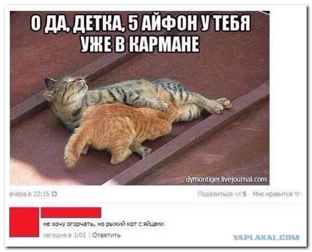 Картинки для поднятия настроения - 4