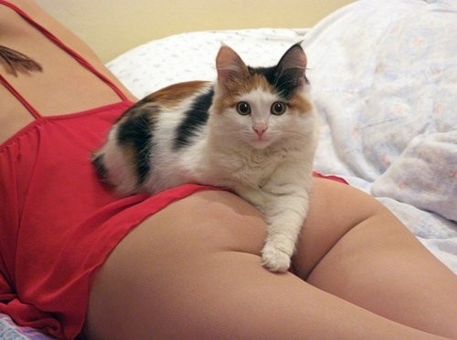 Подборка интересных и веселых картинок