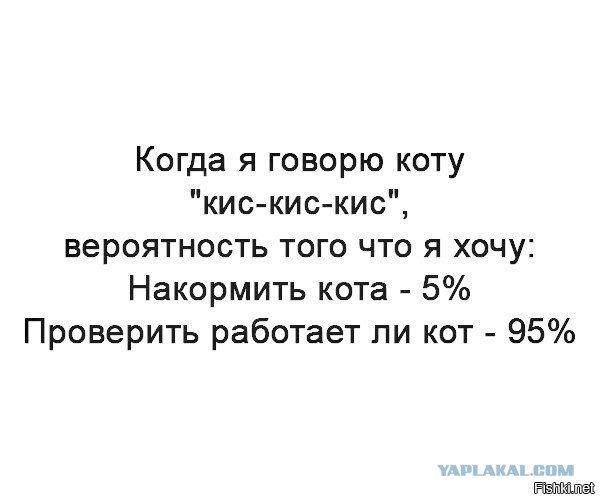 Немного картинок