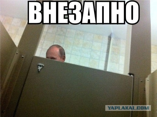 Подборка интересных и веселых картинок
