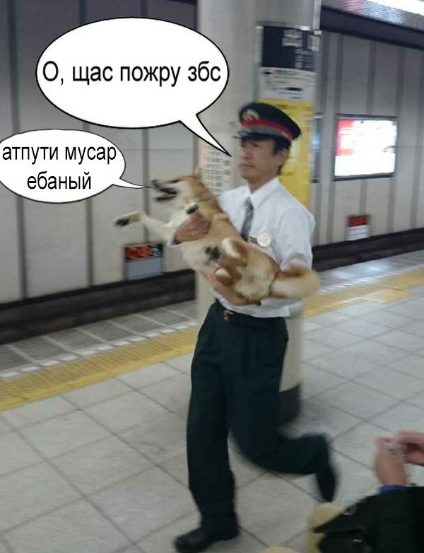 Деградации ЯПу