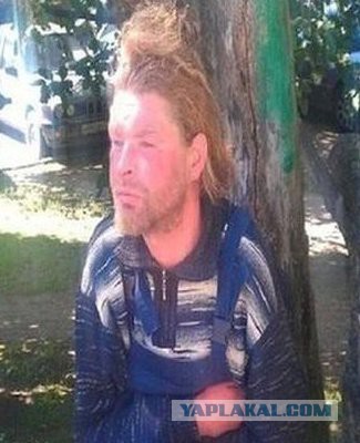 Не отличить: самые похожие двойники знаменитостей