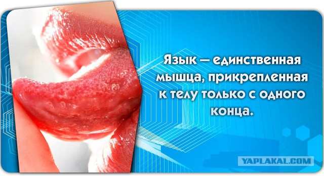 56 неожиданных фактов о большинстве которых вы не знали.