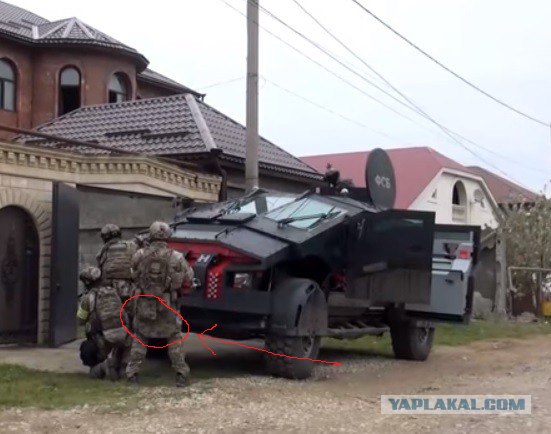 В Крым приехали «Фалькатусы» ФСБ