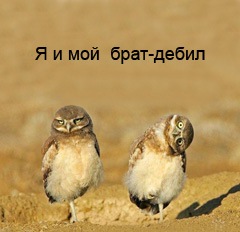 24 веселых доказательства того, что иметь брата или сестру — безмерное счастье