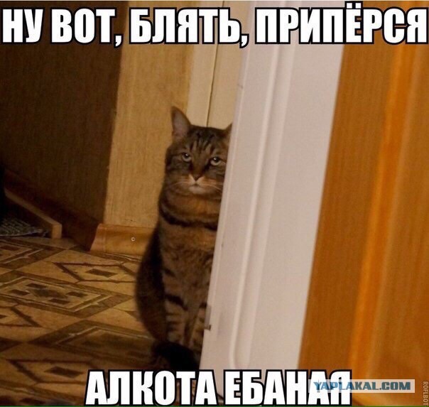 Журнал "Деградант" , предновогодней выпуск