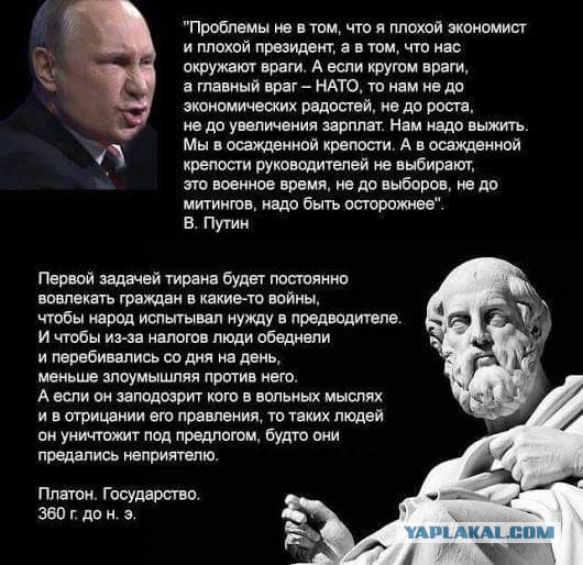 В Совфеде заявили о возможном выходе России из ВТО из-за свинины