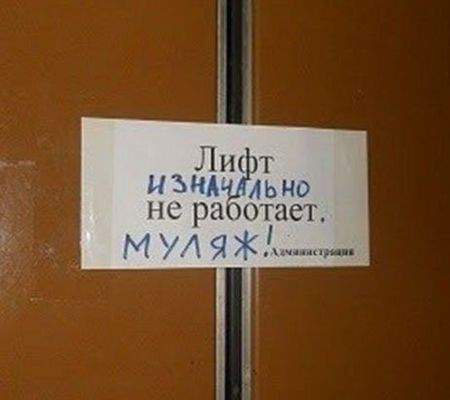 " Социальный лифт" в современной России. Возможен ли он в будущем? Ваше мнение.