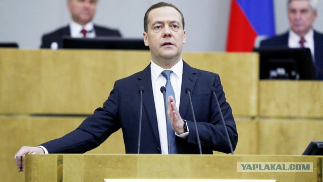 Собаки, собачники. Снова.
