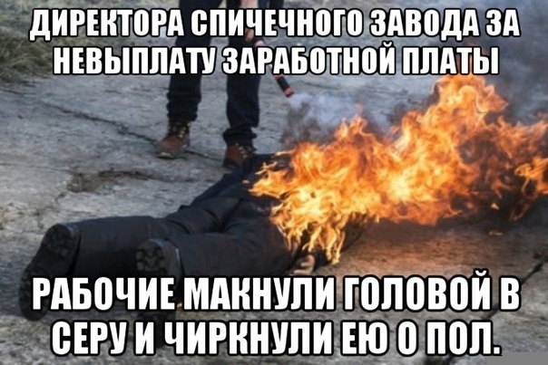 Коротко обо всём