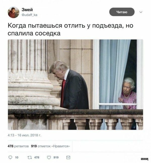 Веселые картинки когда...